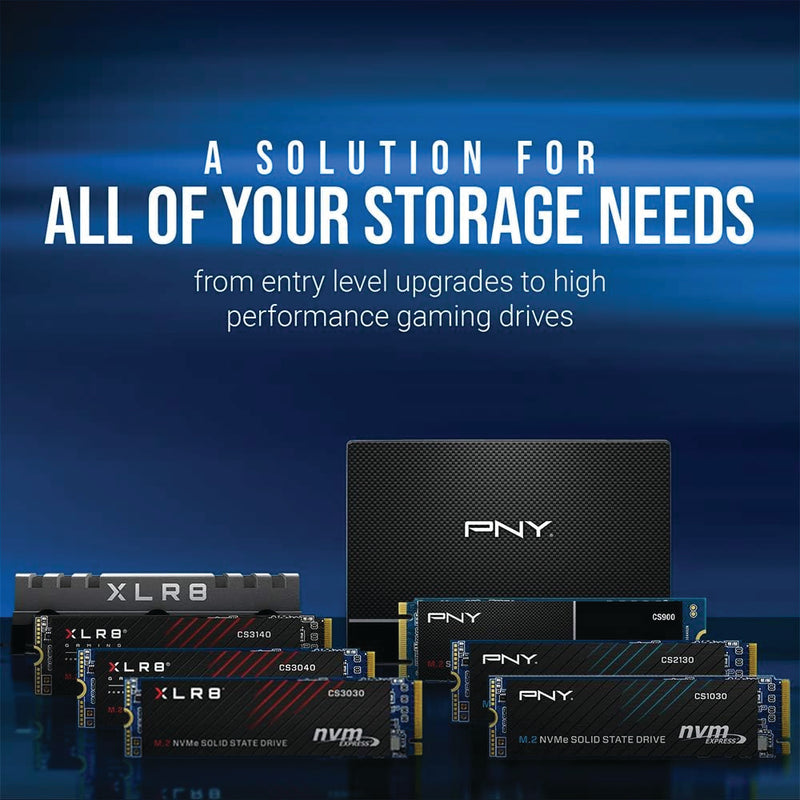 PNY 250GB CS900 SATA III 2.5" Internal SSD