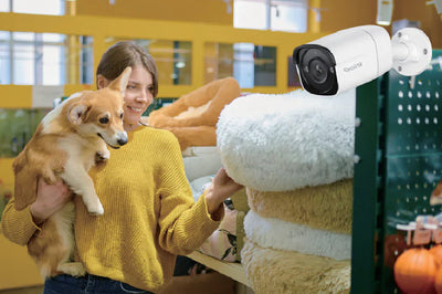 Successful Cases: Pet Care Shop Monitoring in California