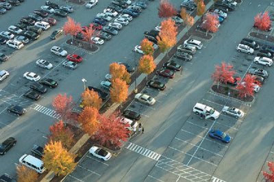 Successful Cases: Parking Lot Surveillance in Delaware, USA